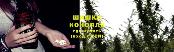 прущие крисы Баксан