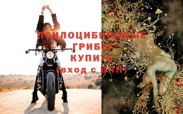 прущие крисы Баксан