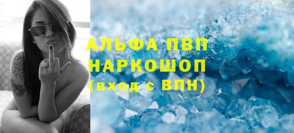 прущие грибы Балабаново
