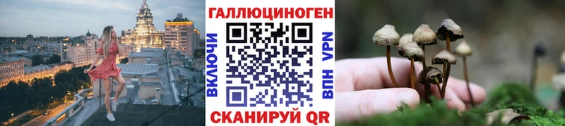 Псилоцибиновые грибы Magic Shrooms маркетплейс состав Старая Купавна